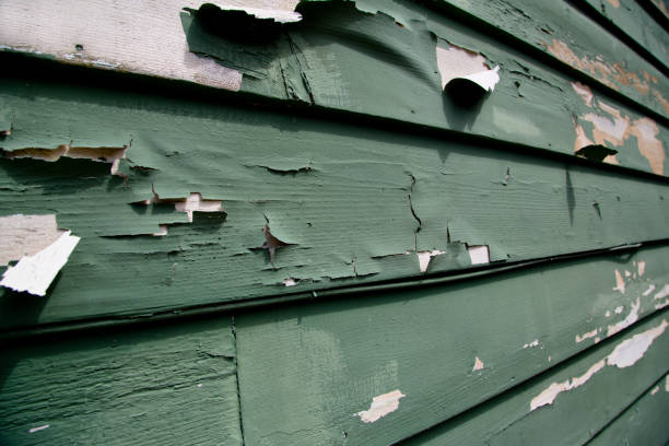 Best Brick Veneer Siding  in Lake Arrowhead, ME