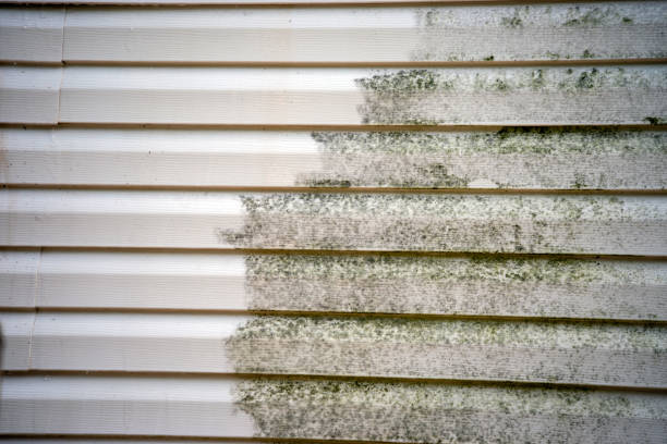 Best Siding Removal and Disposal  in Lake Arrowhead, ME